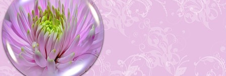 Energie update Witte Spiegel levenspad 7-19 november 2019: Ontmoet je ware Zelf